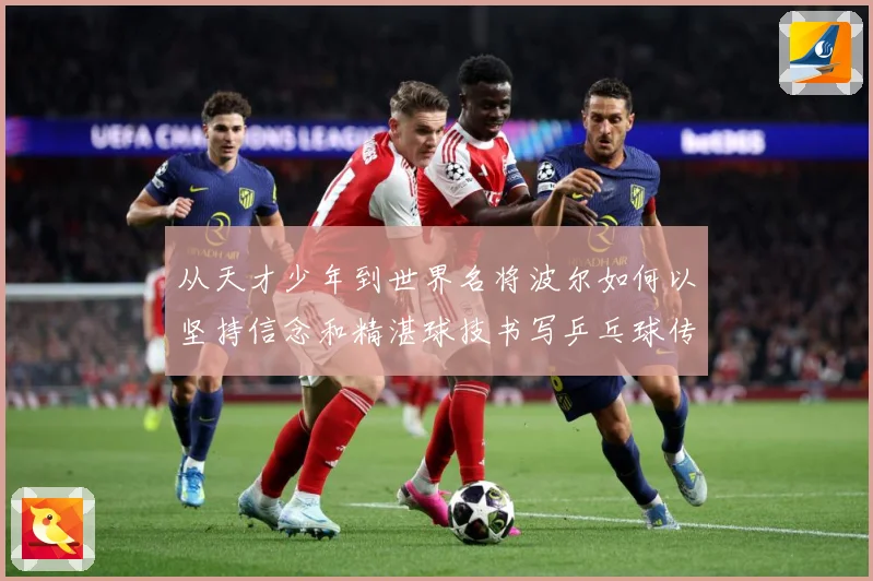 从天才少年到世界名将波尔如何以坚持信念和精湛球技书写乒乓球传奇人解析