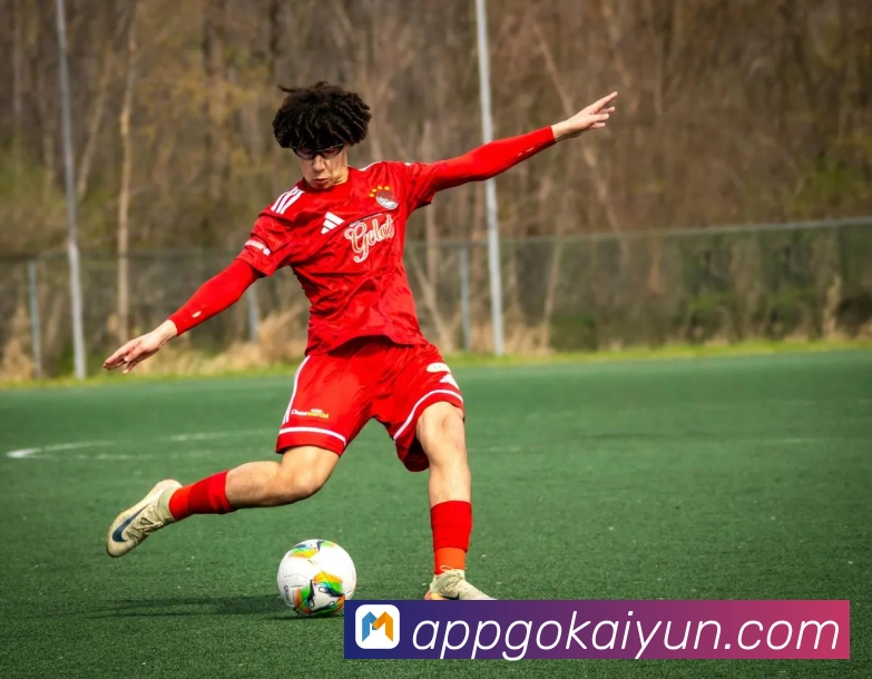 开云平台展示图